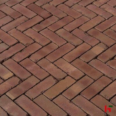 SierbeStrating in Zeist