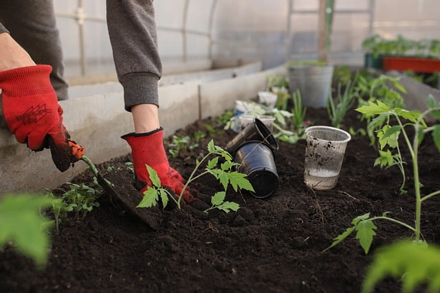 Tuinman in Zeist