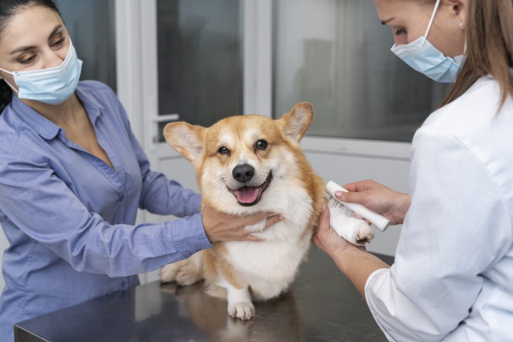 Dierenkliniek in Zeist
