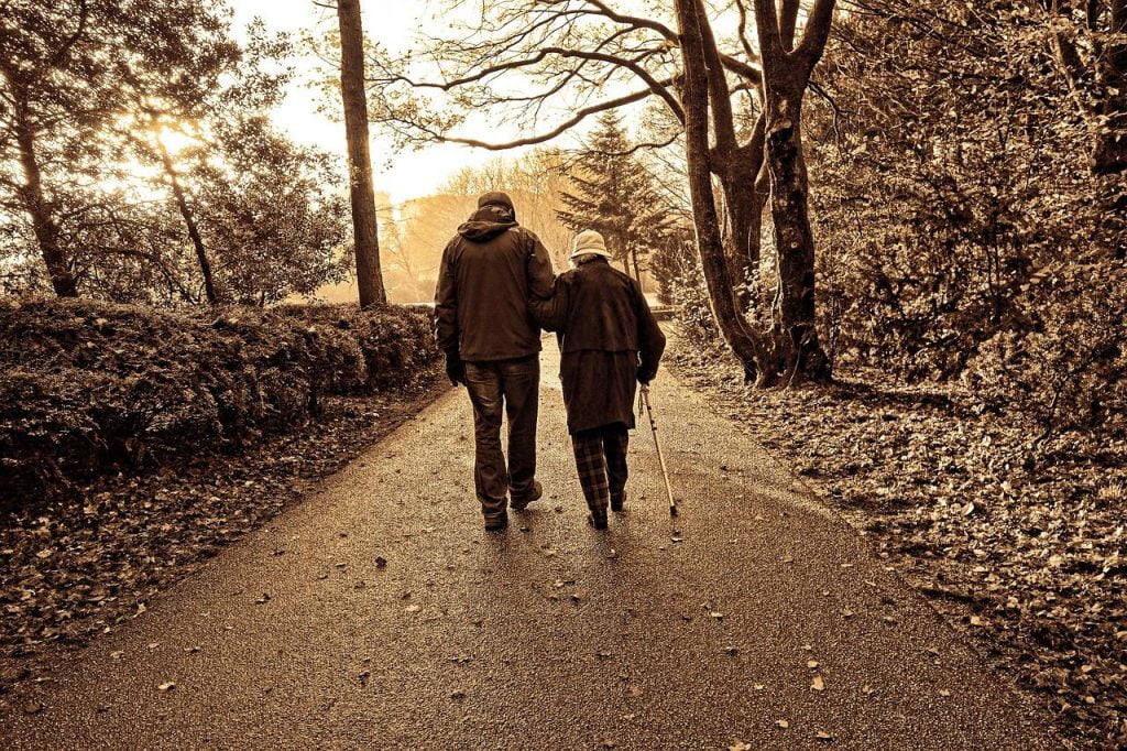 Wandelroutes in Zeist